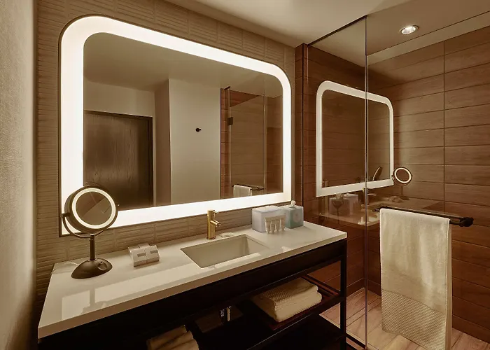 Sable At Navy Pier Chicago, Curio Collection By Hilton 4*